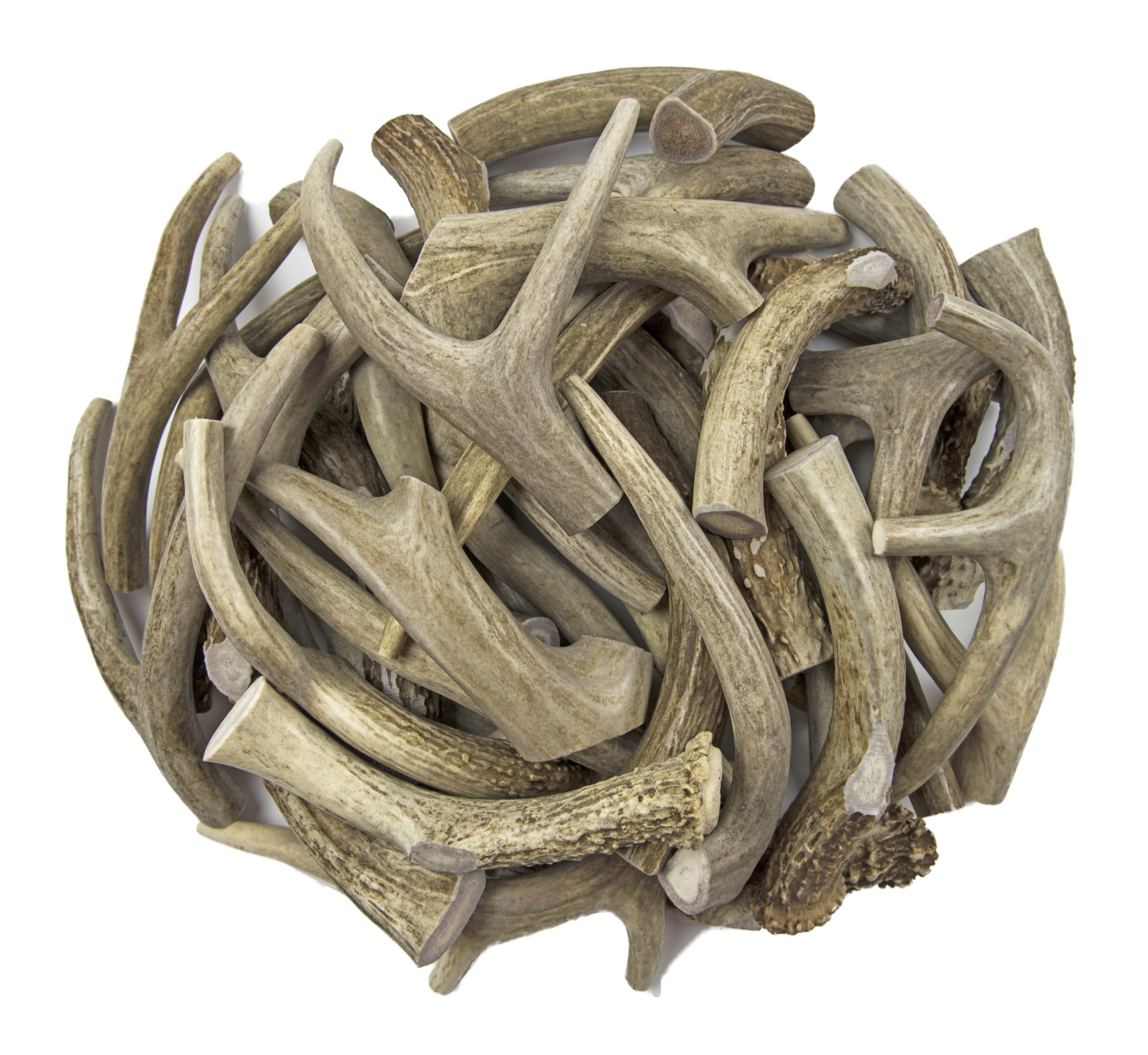 Antler Man Premium Deer Antler Pieces close-up crunch shows durable chewing texture.
