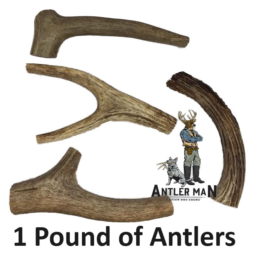 Antler Man Premium Deer Antler Pieces medium-sized shapes reveal natural variation.
