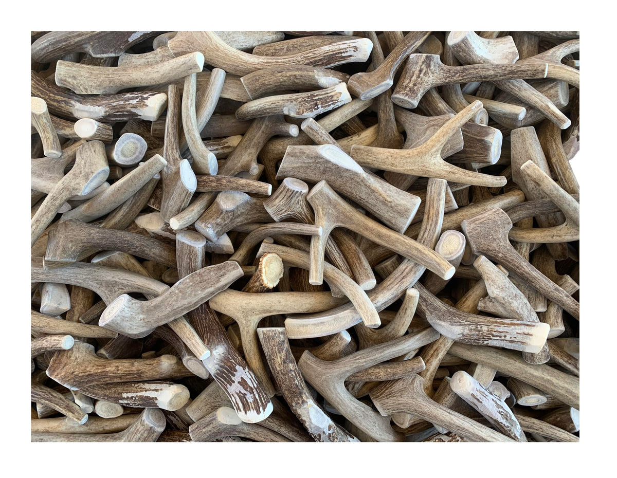 Antler Man Premium Deer Antler Pieces pile demonstrates natural chew material for dogs.