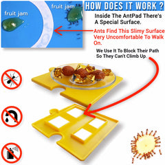 AntPad slimy-core-surface creates an uncomfortable path for ants.