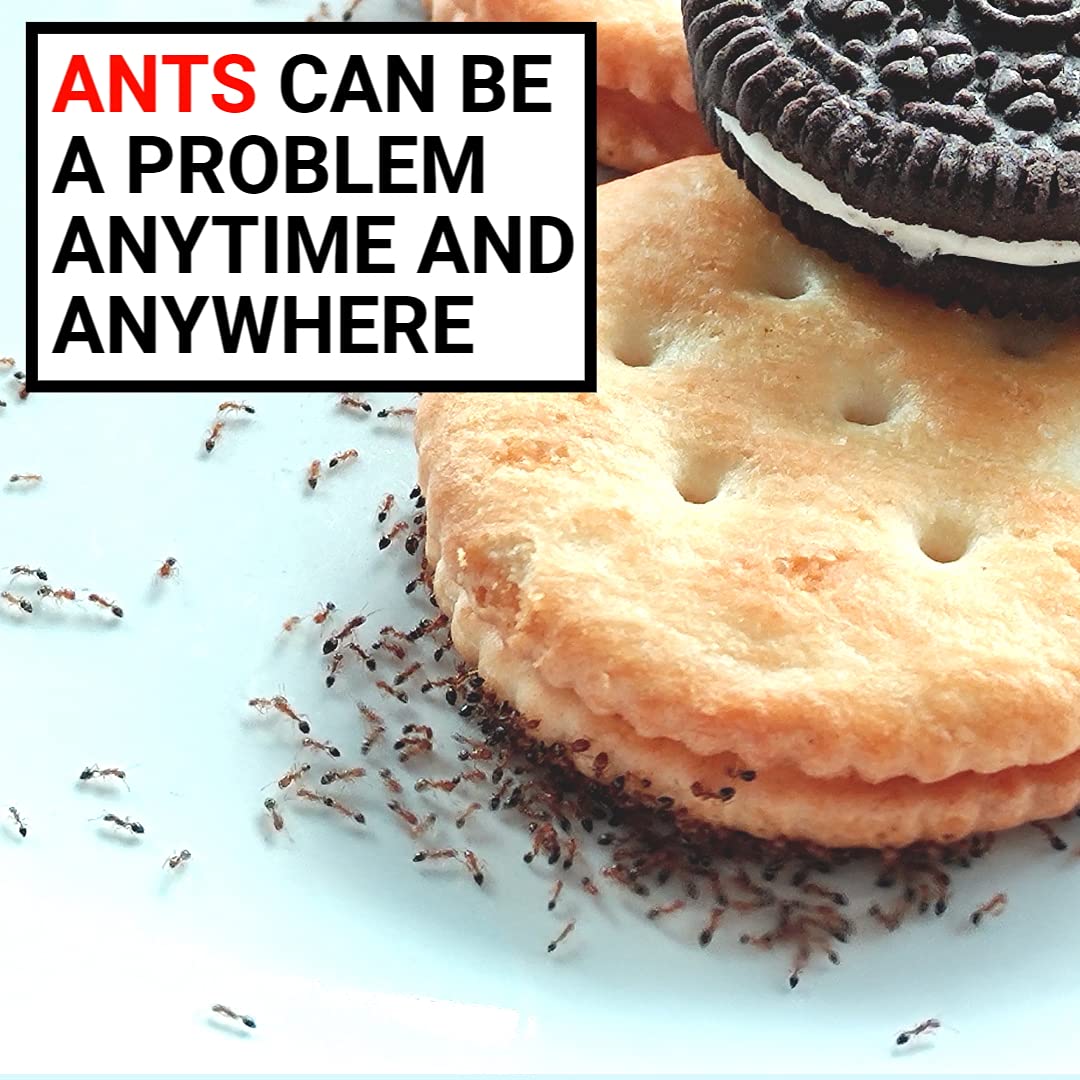 AntPad two-sides-design provides dual-surface protection against ants.