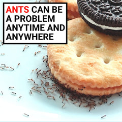 AntPad two-sides-design provides dual-surface protection against ants.