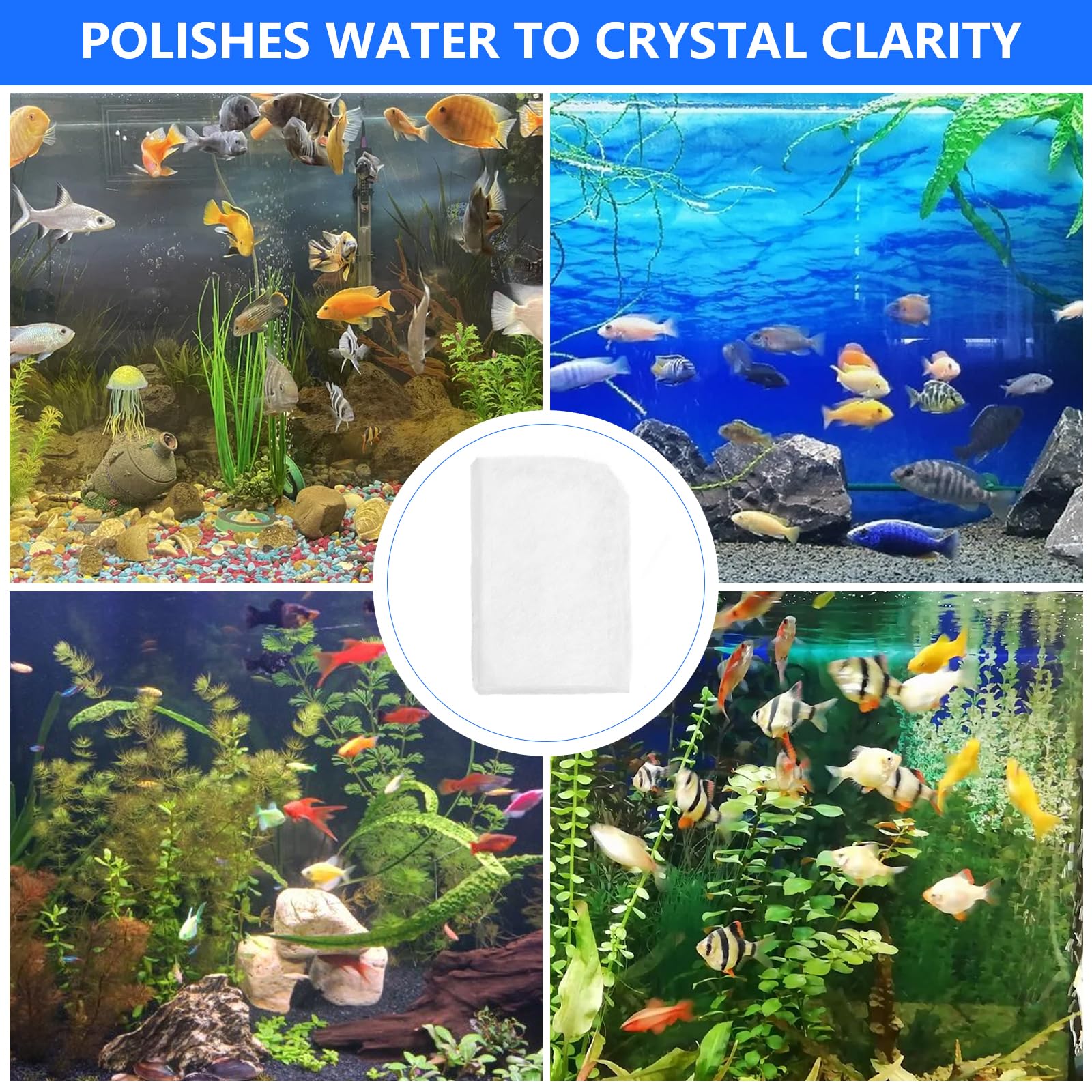 Antrys aquarium water clarity demo displaying vibrant aquascape possibilities