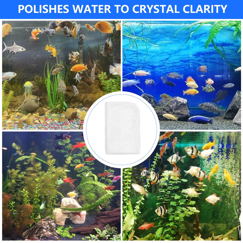 Antrys aquarium water clarity demo displaying vibrant aquascape possibilities