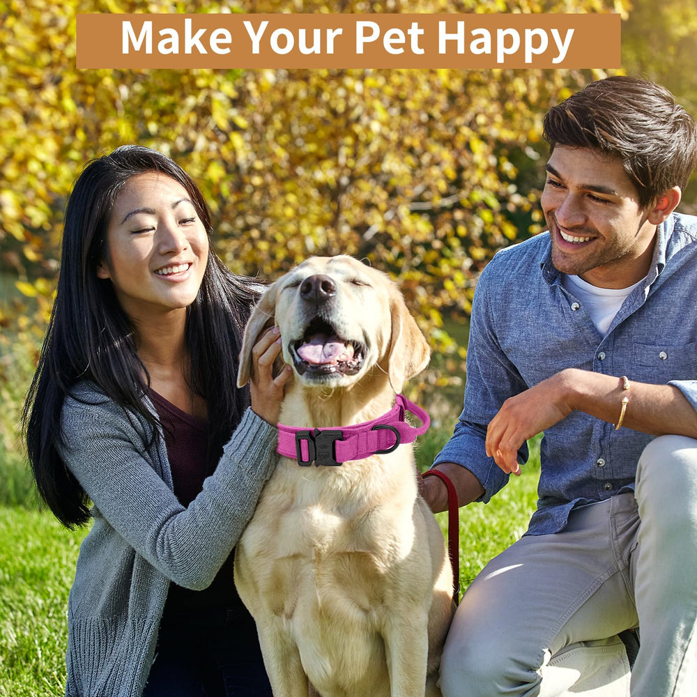 Antswish pink adjustable collar sized for medium to large dogs.