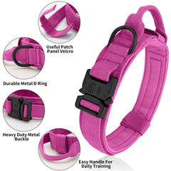 Antswish dog collar pink with handle enables controlled training.