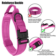 Antswish integrated-d-ring pink collar with secure attachment.