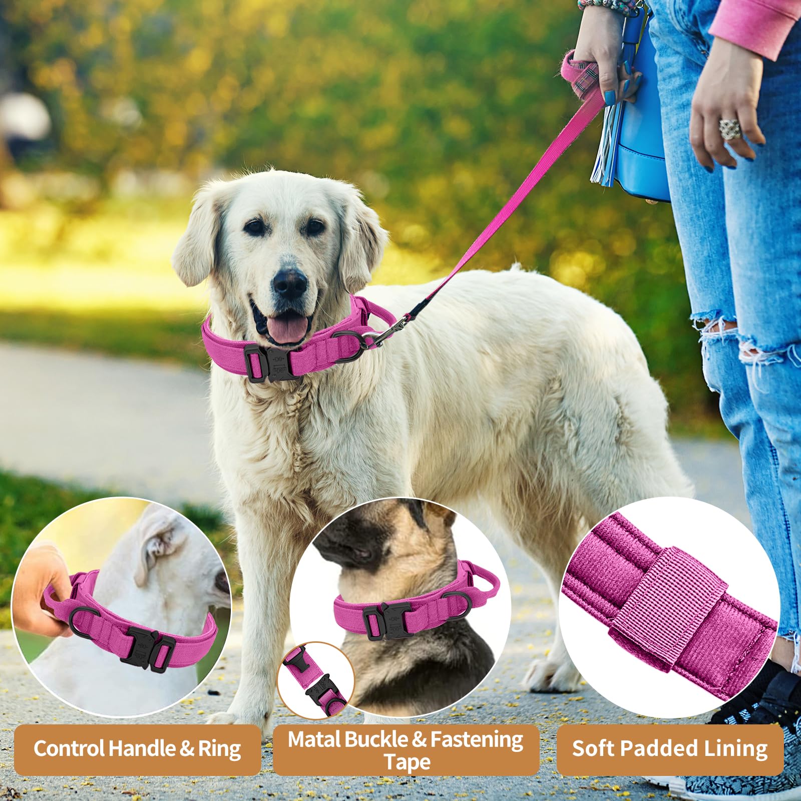 Antswish soft-padding interior on pink collar comforts your dog.