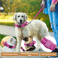 Antswish soft-padding interior on pink collar comforts your dog.