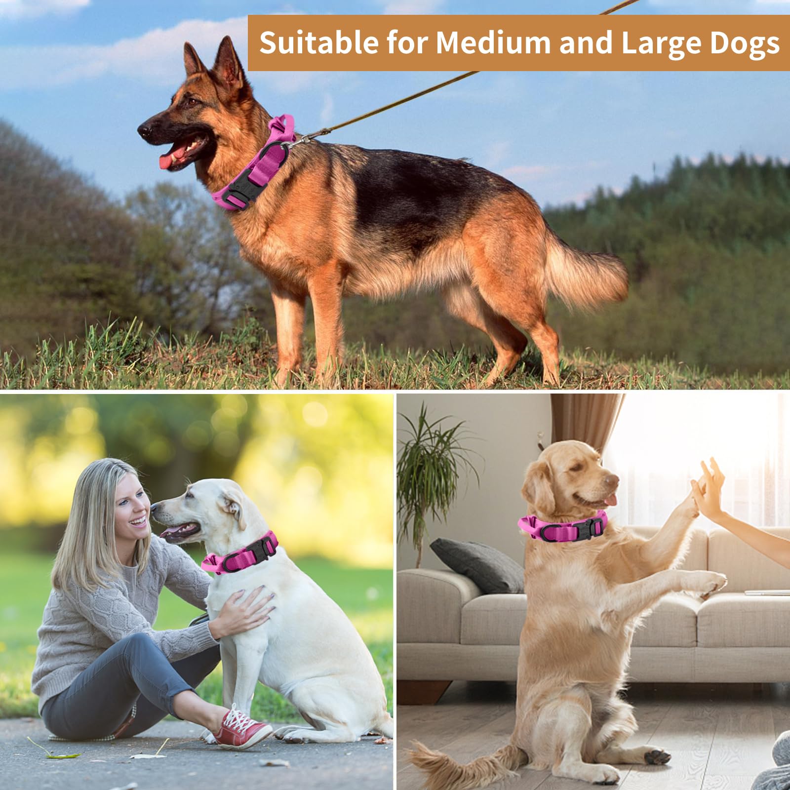 Antswish training-ready pink collar supports control during walks.