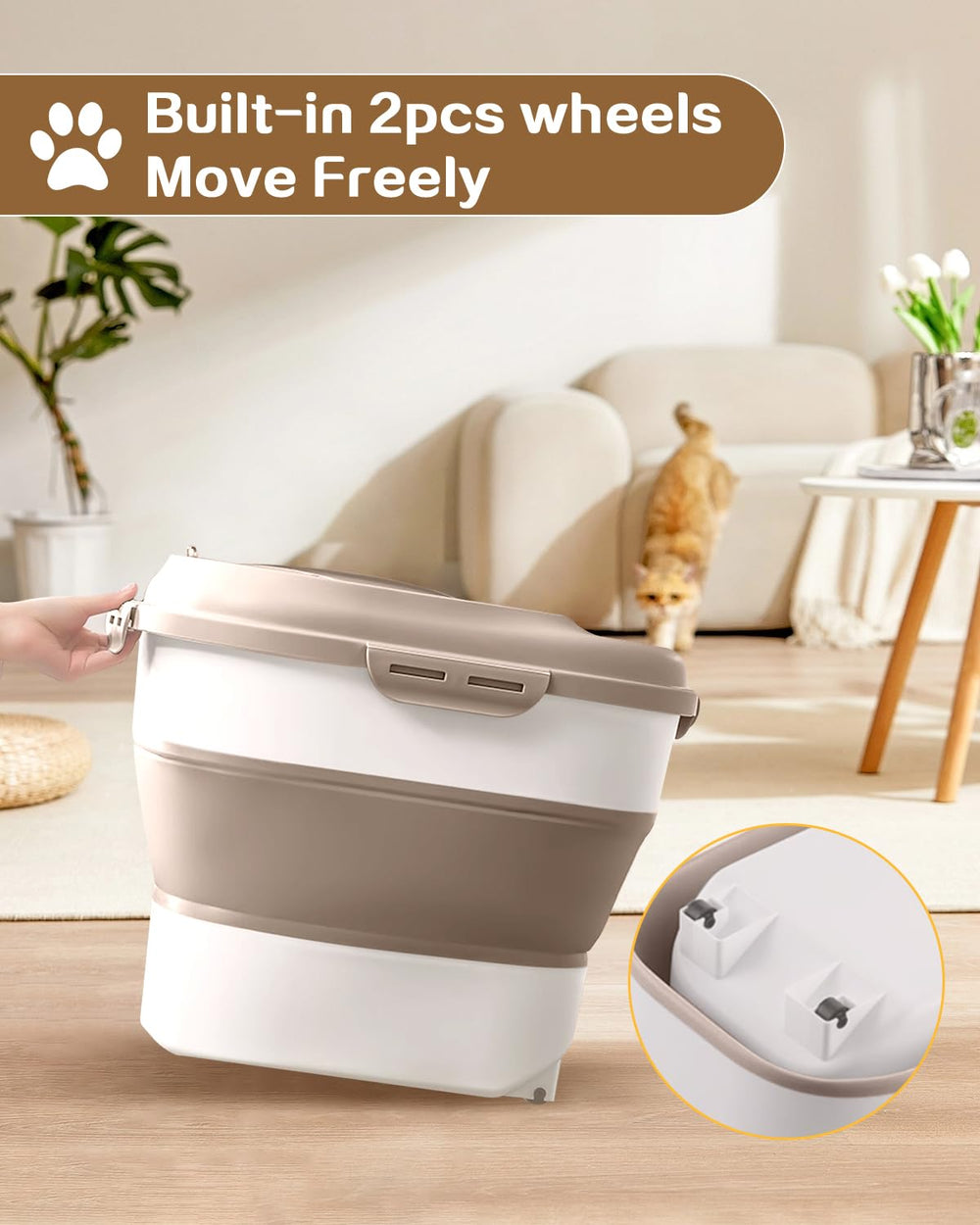 ANVS multipurpose container seals grains and cereals for pantry organization.