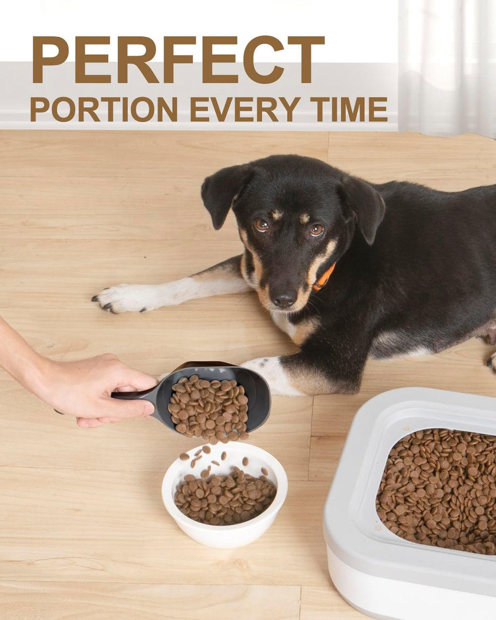 ANVS pet scoop grey with 1/2 cup lines for quick measuring