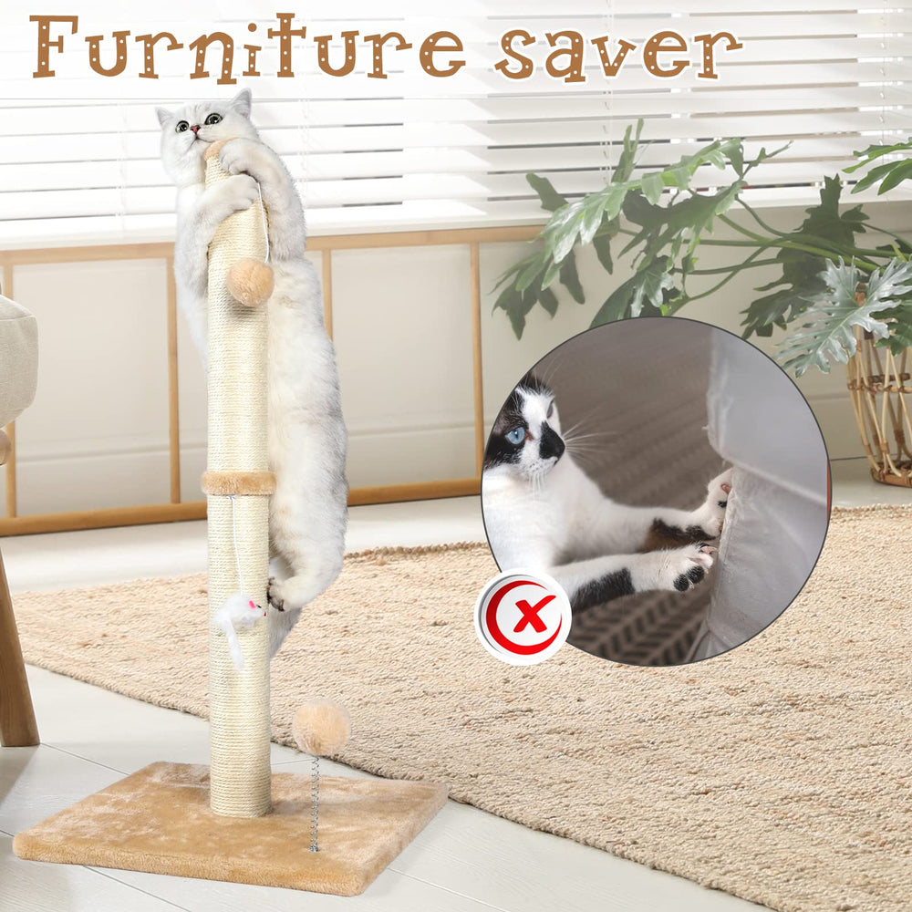 ANWA stable base supports upright scratching during vigorous play.