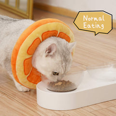 ANWA cat cone collar enables eating and drinking during recovery