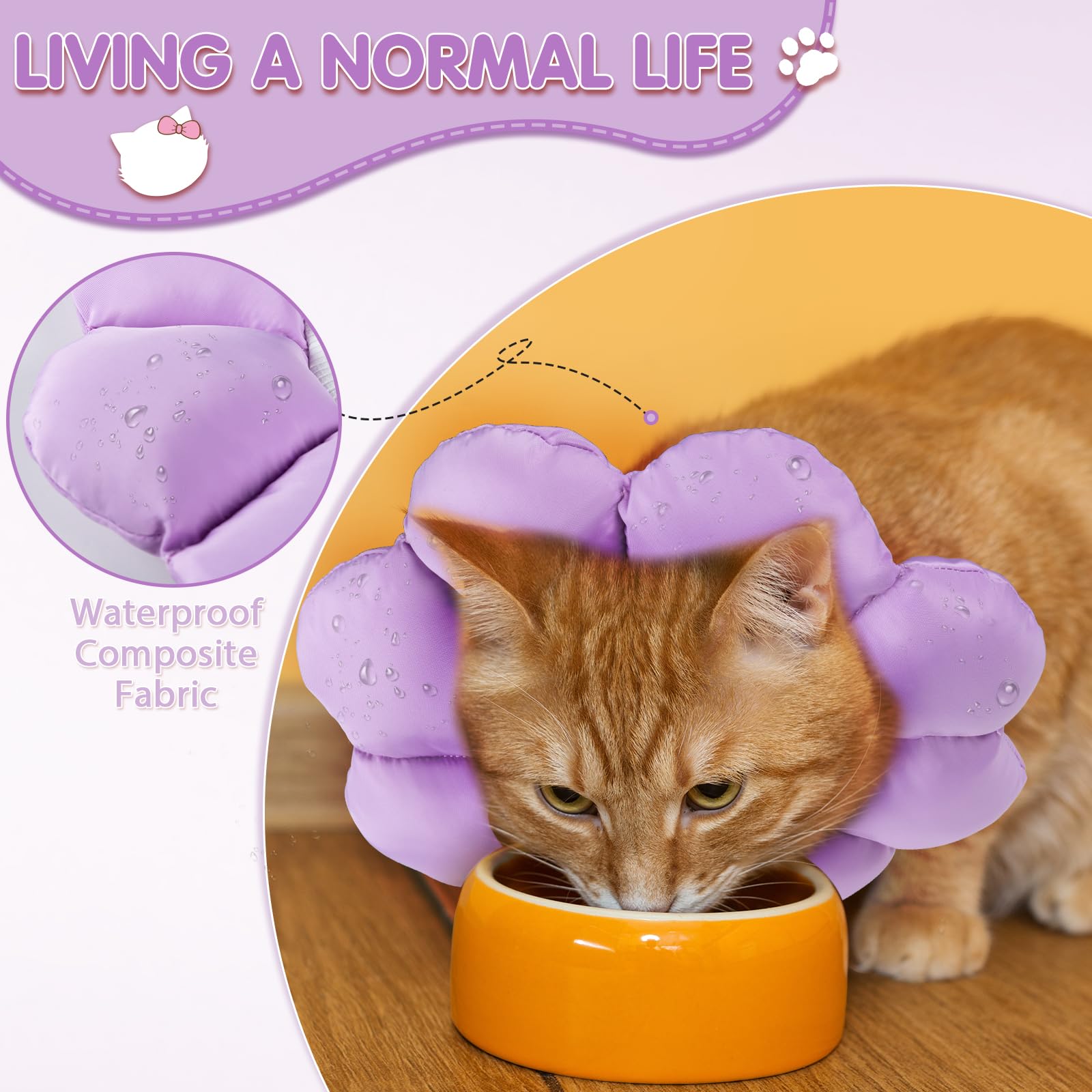 ANWA soft cone helps pets move safely during recovery.