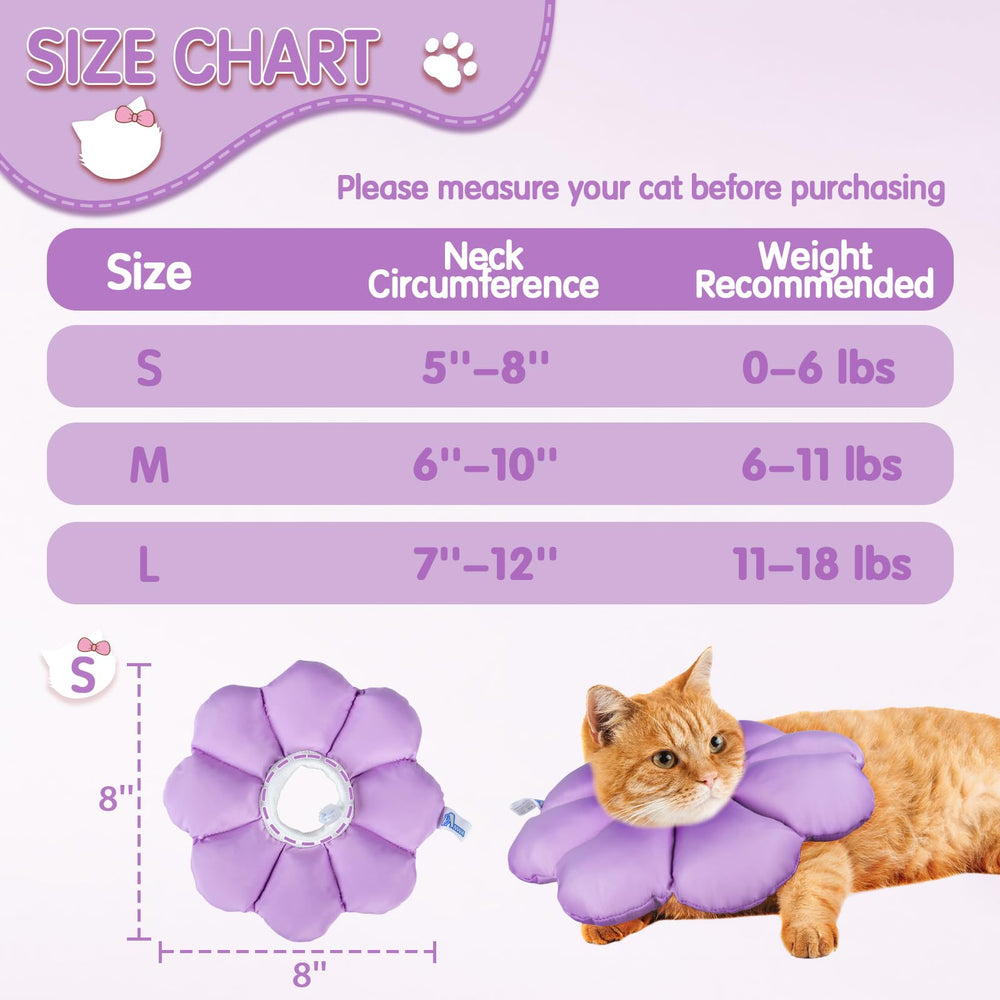 ANWA cat cone enables comfortable, practical post-surgery care.