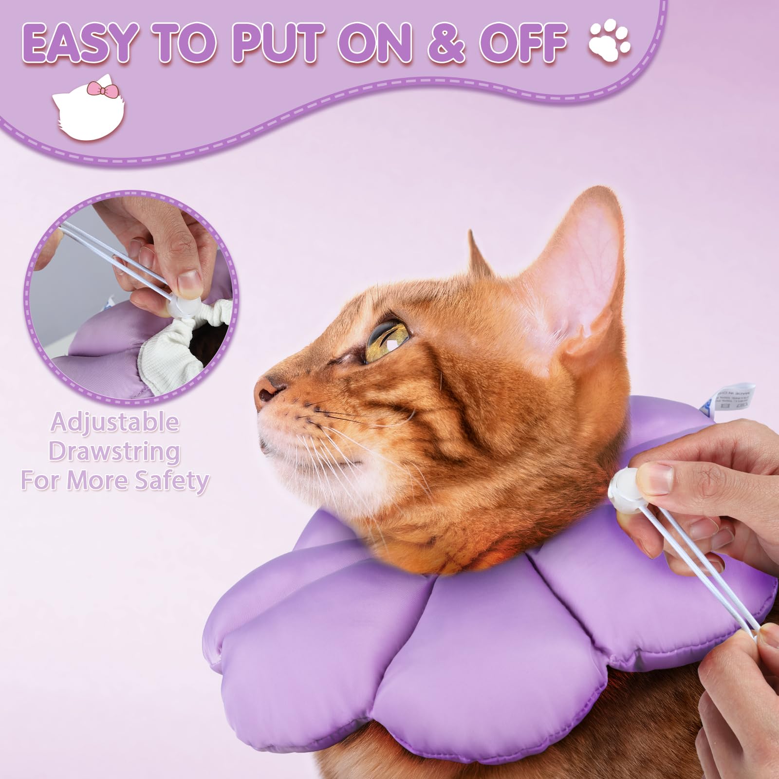 ANWA cone supports eating and drinking during recovery.