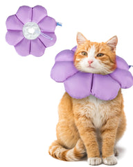 ANWA cat cone with wavy edges for extended protection during healing.
