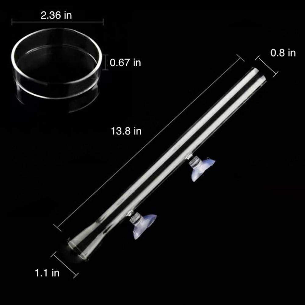 AnxunJim crystal glass shrimp feeder tube side view showcases safe, transparent design.