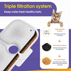 AnyEnjoy filter graphic demonstrates rinse-and-soak steps to reduce carbon dust before use.