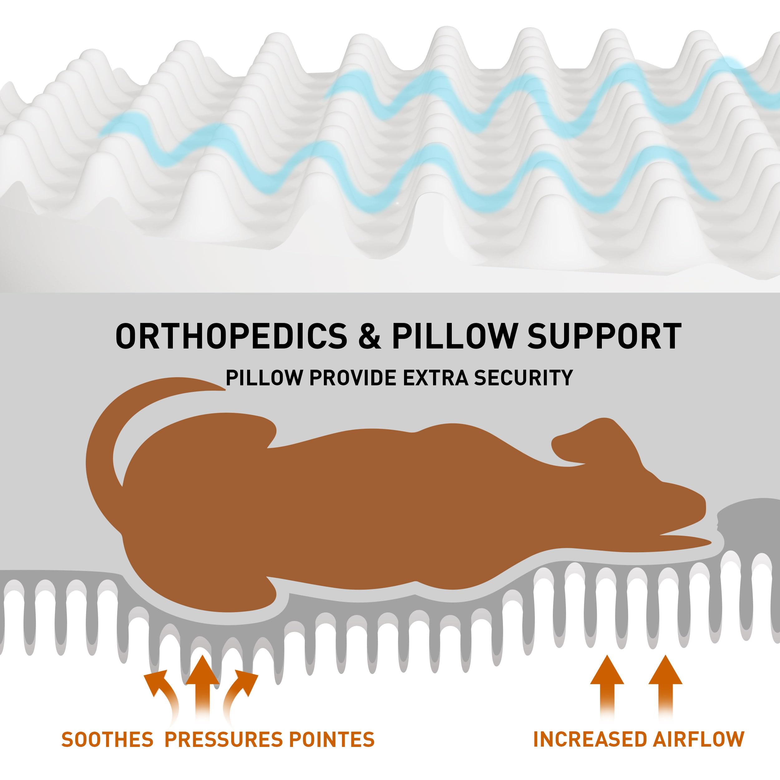 Anywish oval wrap-around design with elevated edges