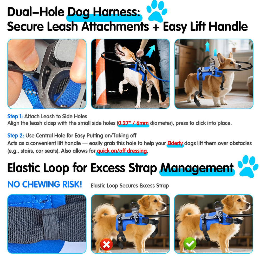 AO LI GEI 5ft leash attachment demonstrates secure, controlled walking.