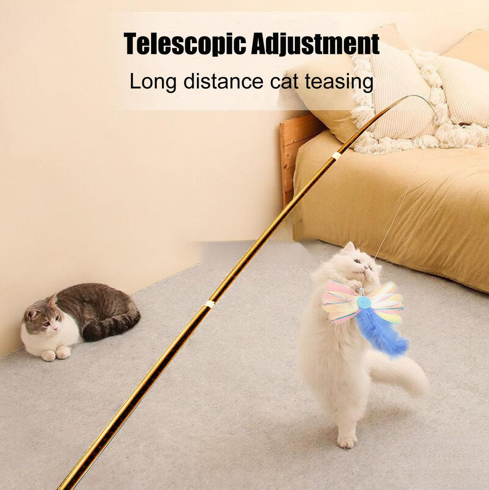Aobvrey bonding playtime strengthens owner-cat connection during interactive sessions.