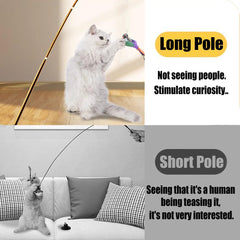 Aobvrey cat wand feathers and bells show safe, durable materials for hours of activity.