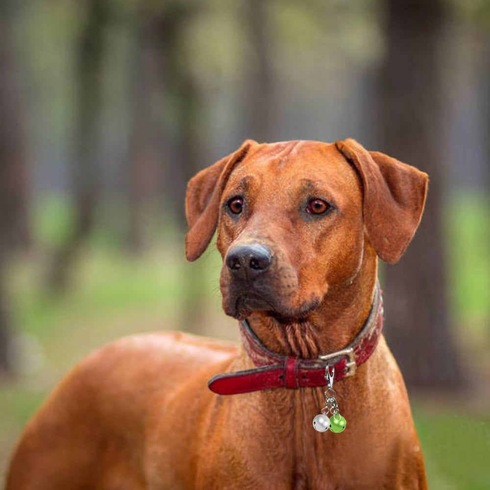 Aoche pet bells emit crisp sound to attract pets' attention outdoors.