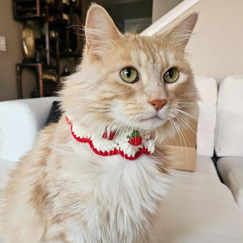 Aoeeki strawberry bow detail on collar for cute photo-ready style.