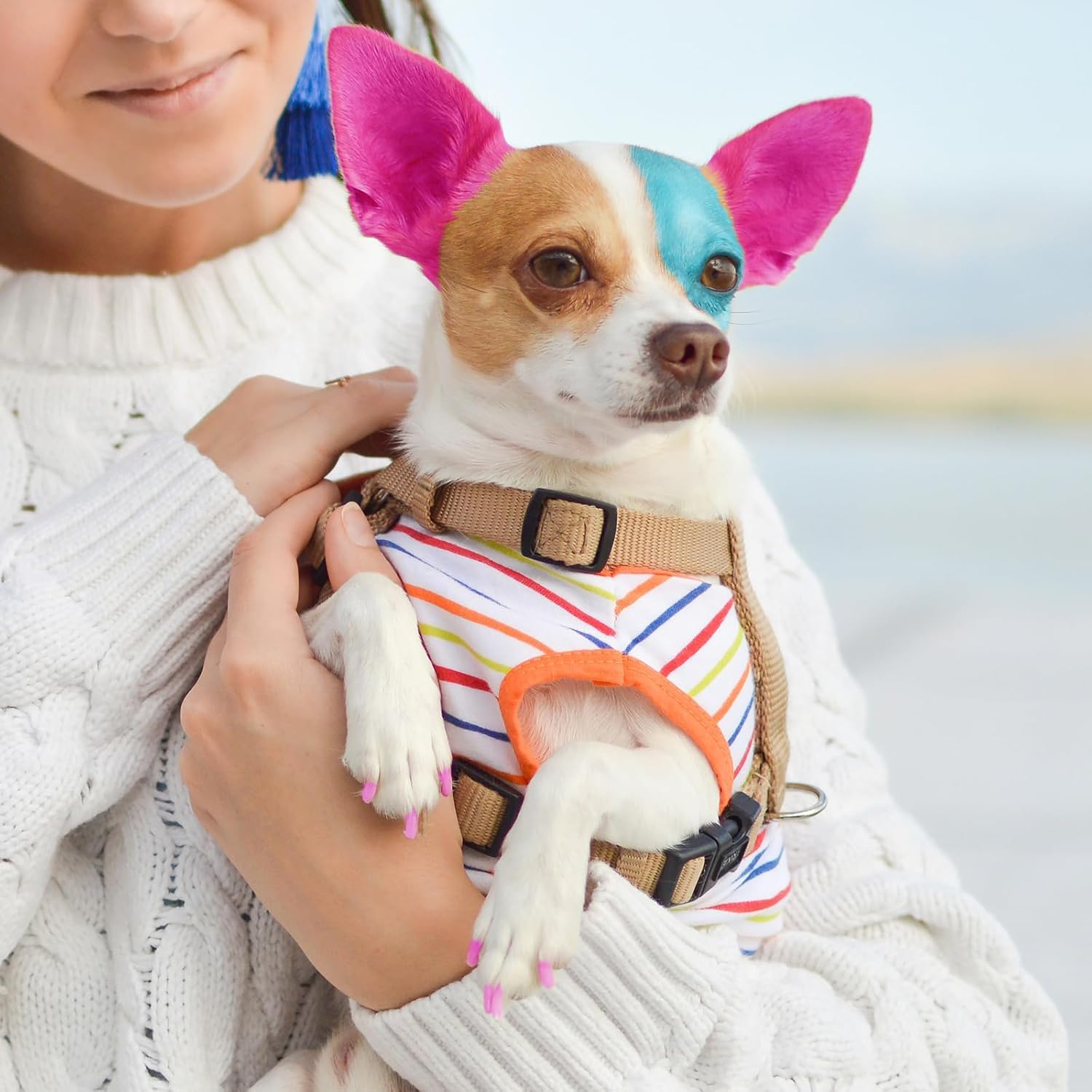 AOFEGRLT pet bonding moment with color fun