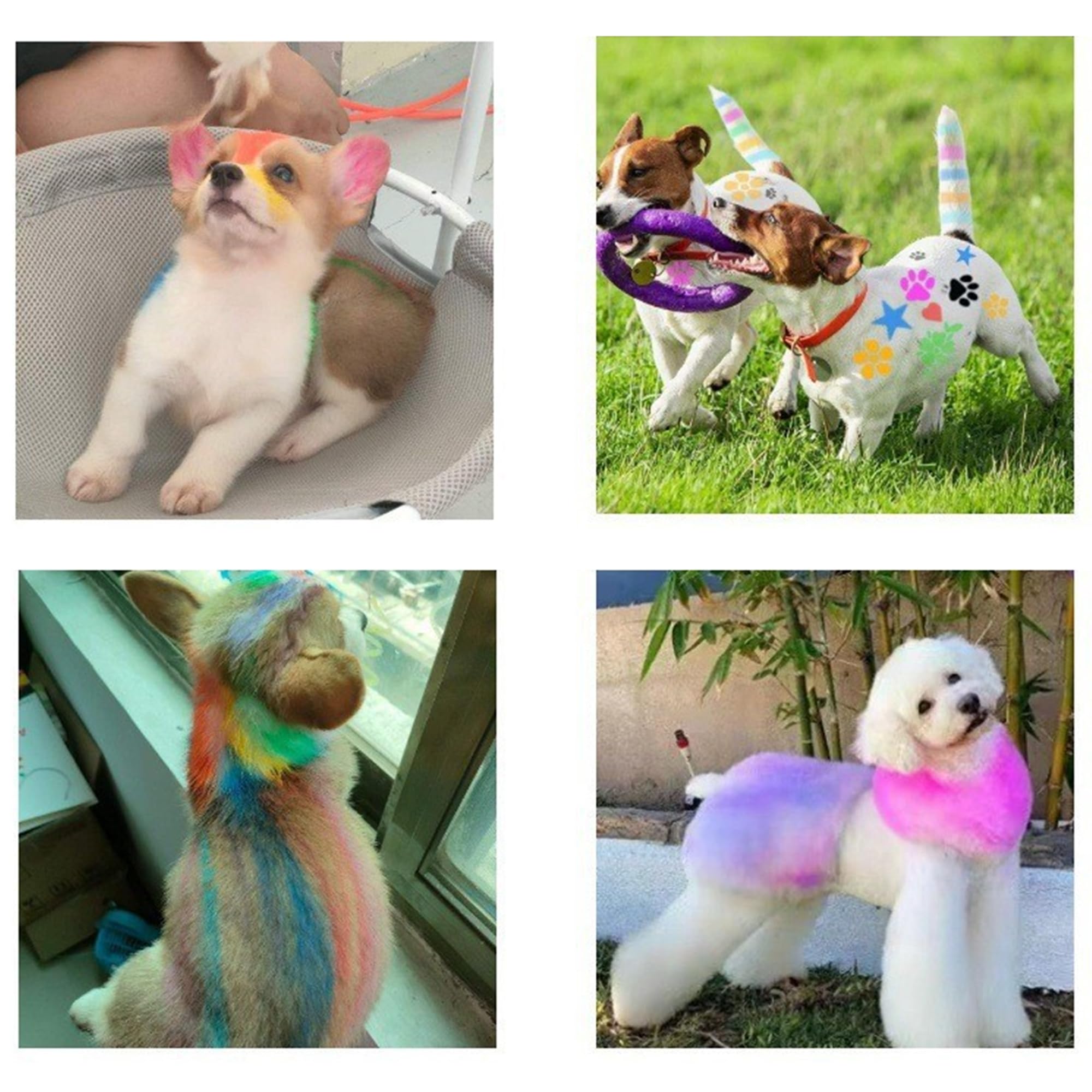 AOFEGRLT washable dye removal test on fur