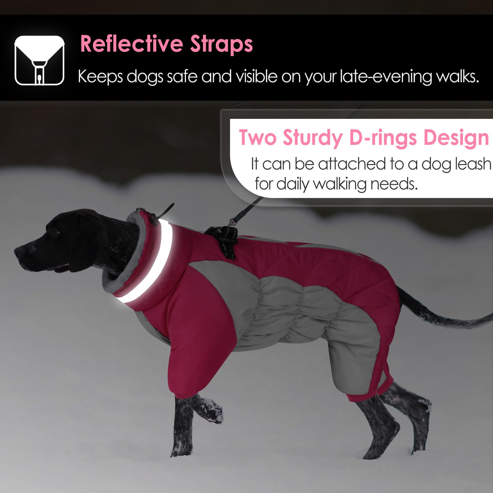 AOFITEE harness ready coat shows two D rings for walks
