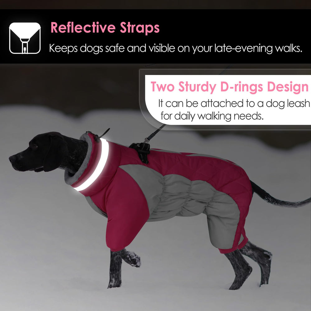 AOFITEE harness ready coat shows two D rings for walks