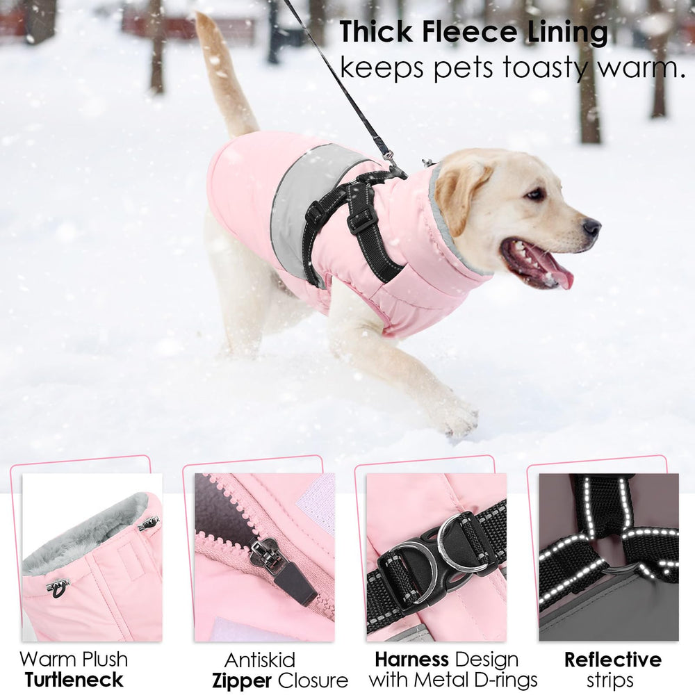 AOFITEE coat features D-rings for simple leash attachment on walks.