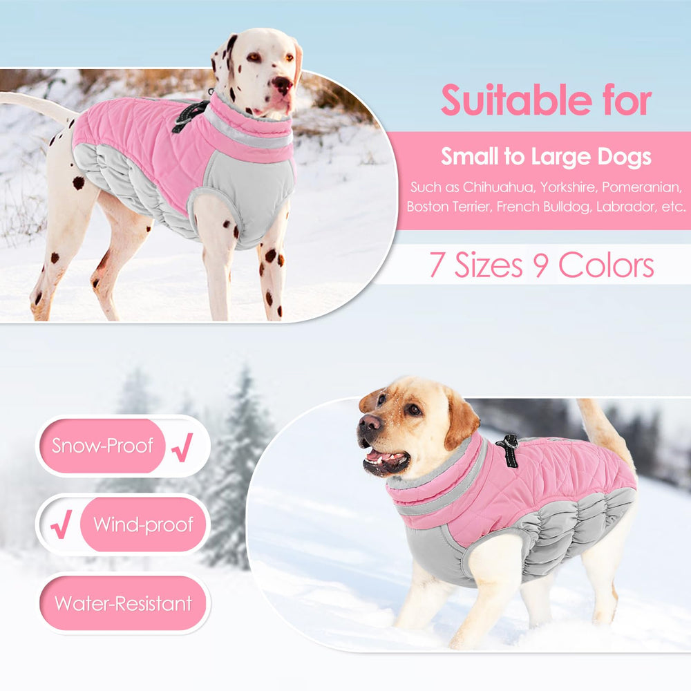 AOFITEE dog coat dual D-ring attachment shows secure leash options