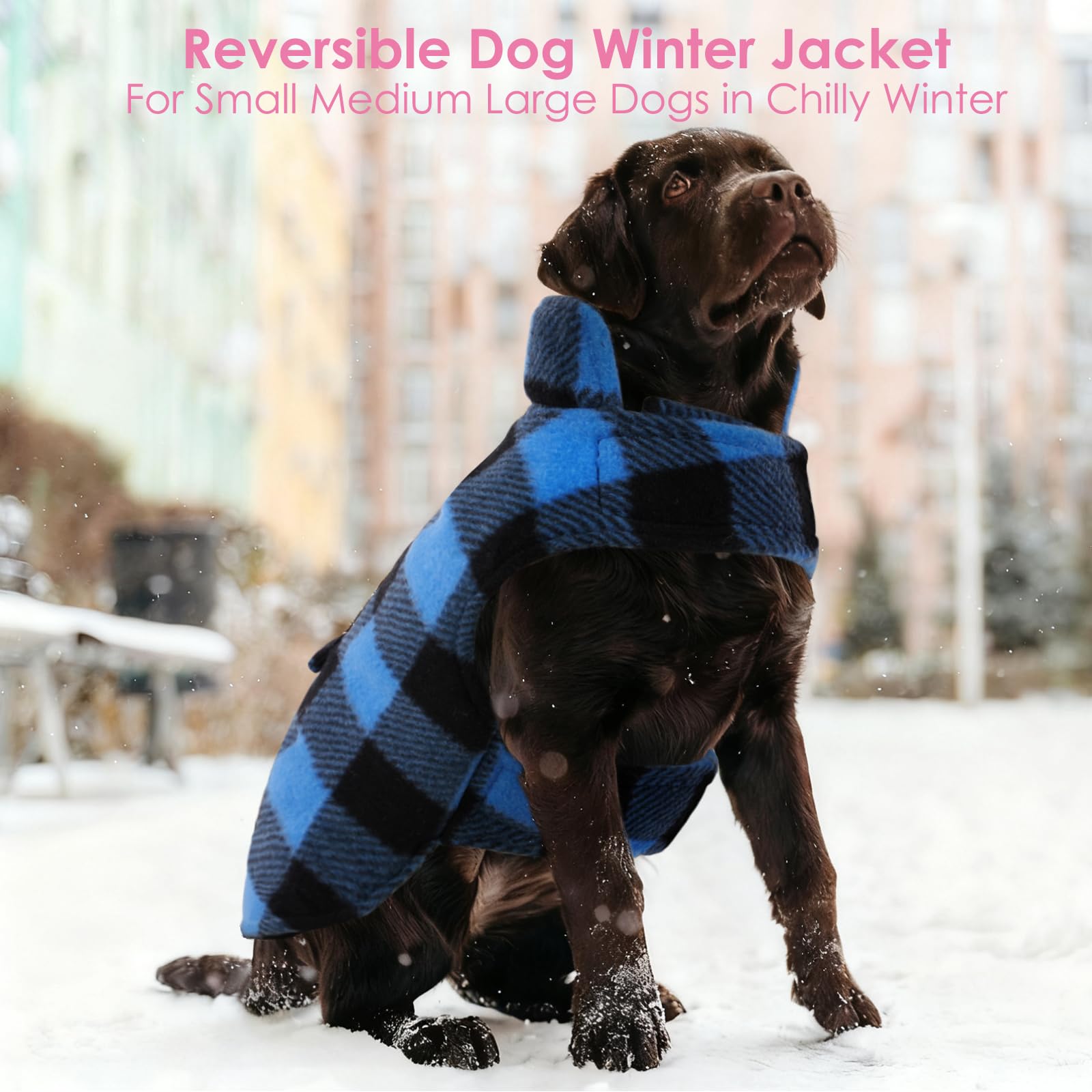 AOFITEE model wearing blue winter coat during a snowy walk.