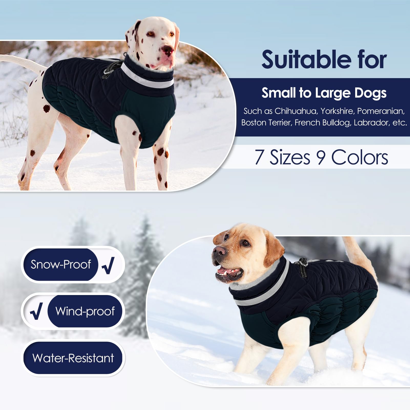 AOFITEE navy dog coat displayed during a winter stroll.