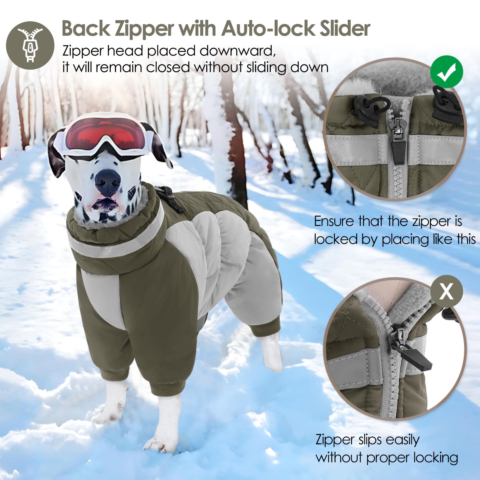 AOFITEE dog coat enhances night-time safety with reflective features during walks