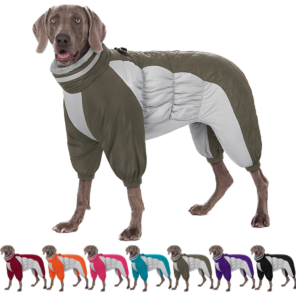 AOFITEE dog coat back view shows full coverage for winter warmth