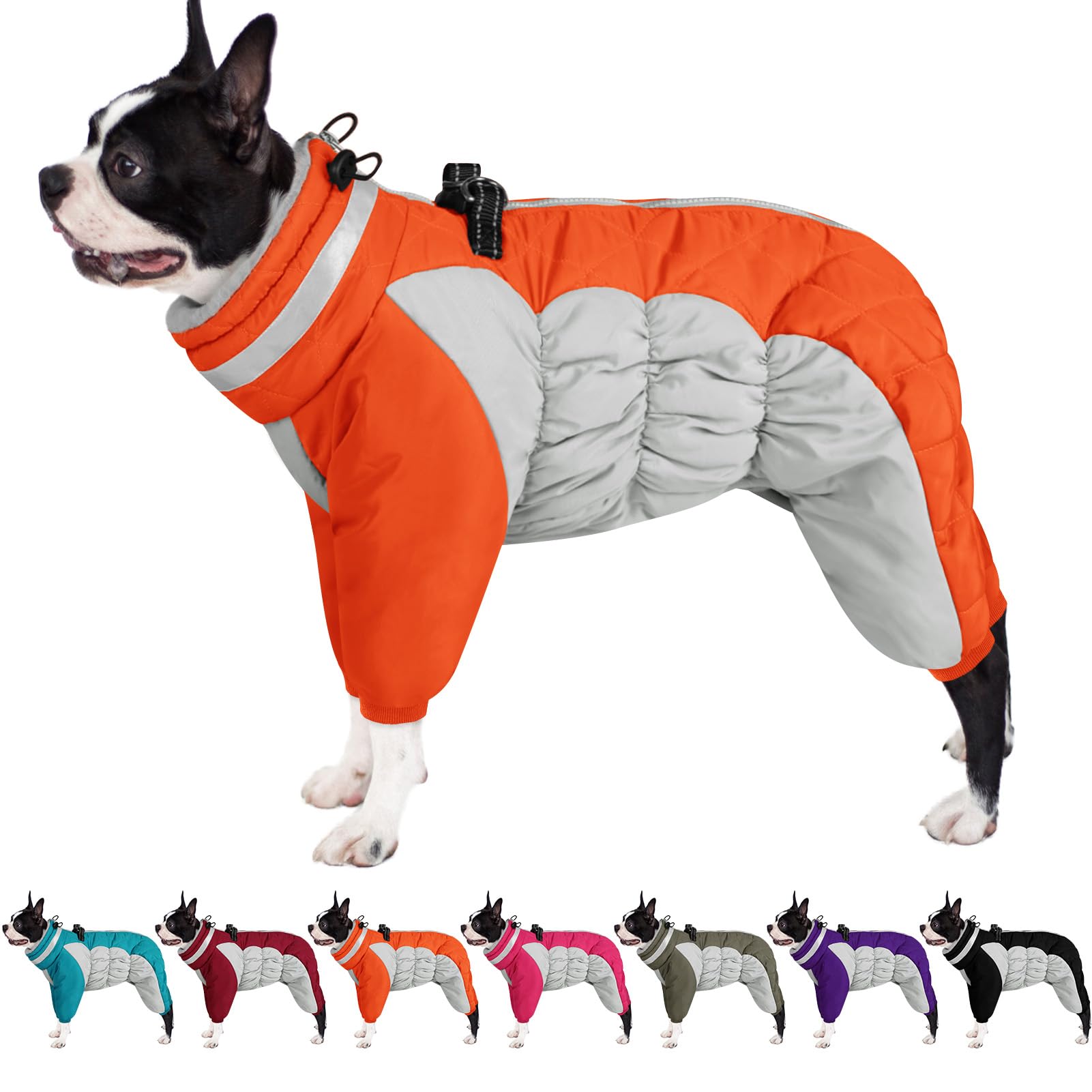 AOFITEE dog coat back view showcases warmth and windproof design for winter walks.