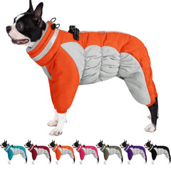 AOFITEE dog coat back view showcases warmth and windproof design for winter walks.