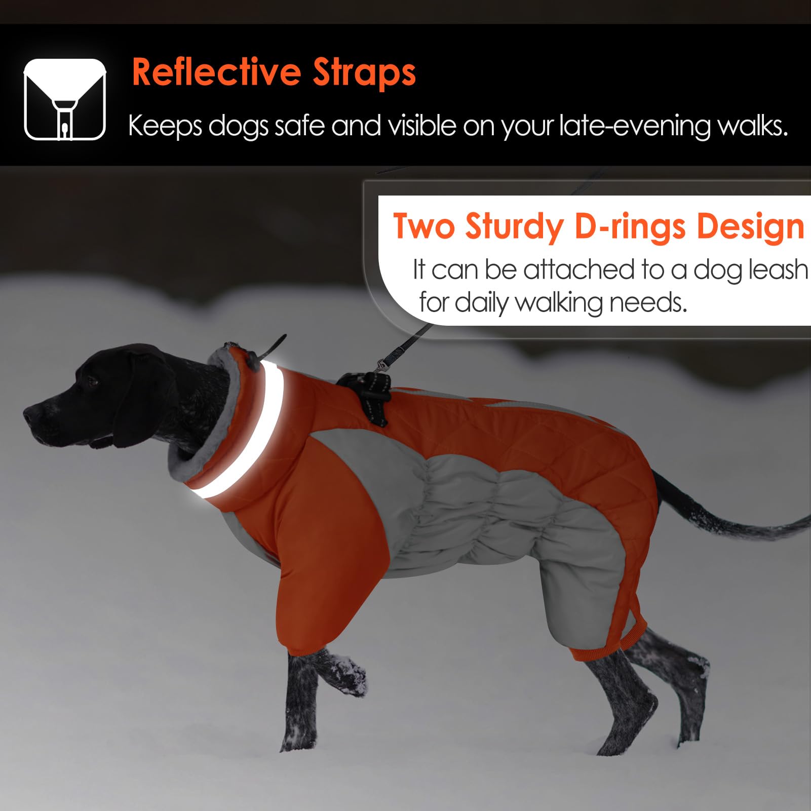 AOFITEE harness-built design provides full-body coverage and leash options.