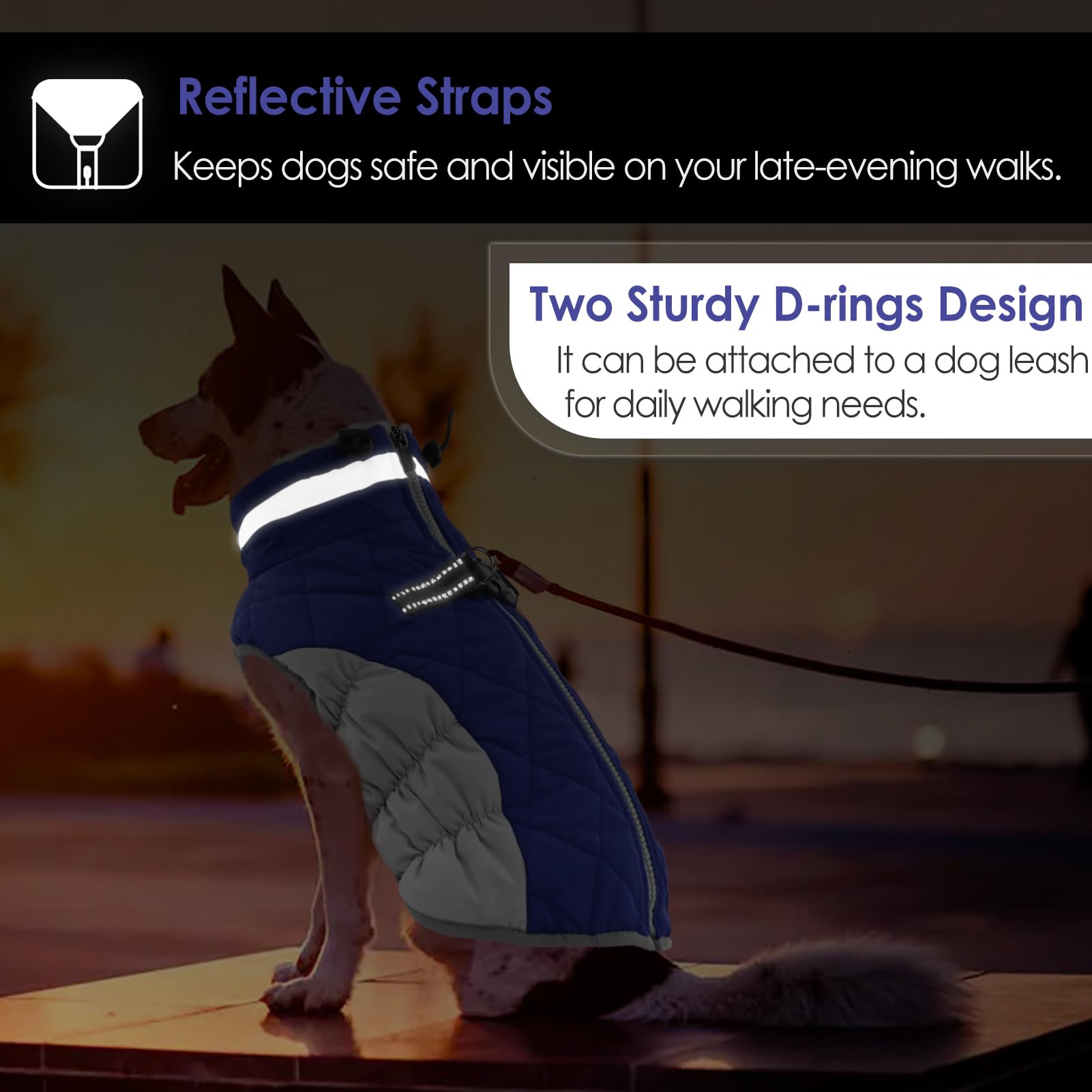 AOFITEE waterproof fabric keeps your dog dry in damp conditions.
