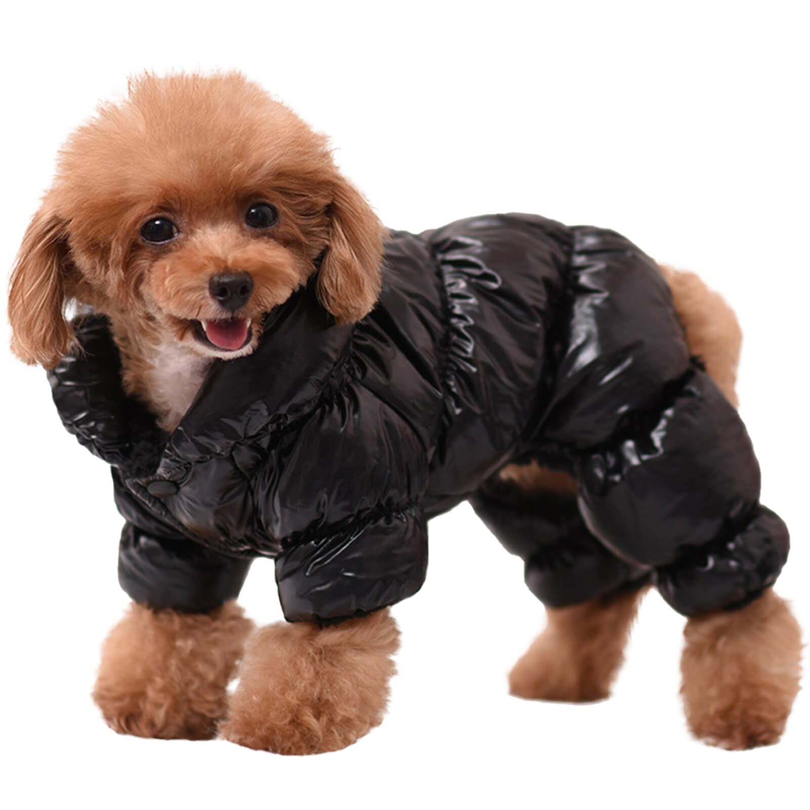 AOFITEE dog coat front view shows warm waterproof snowsuit for cold walks