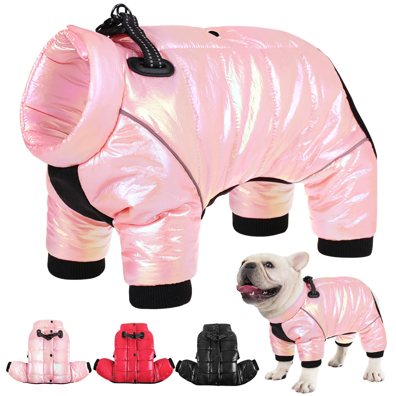 AOFITEE dog coat waterproof-winter keeps small dogs dry and warm.