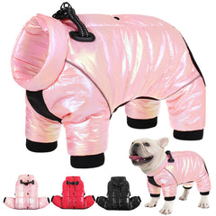 AOFITEE dog coat waterproof-winter keeps small dogs dry and warm.