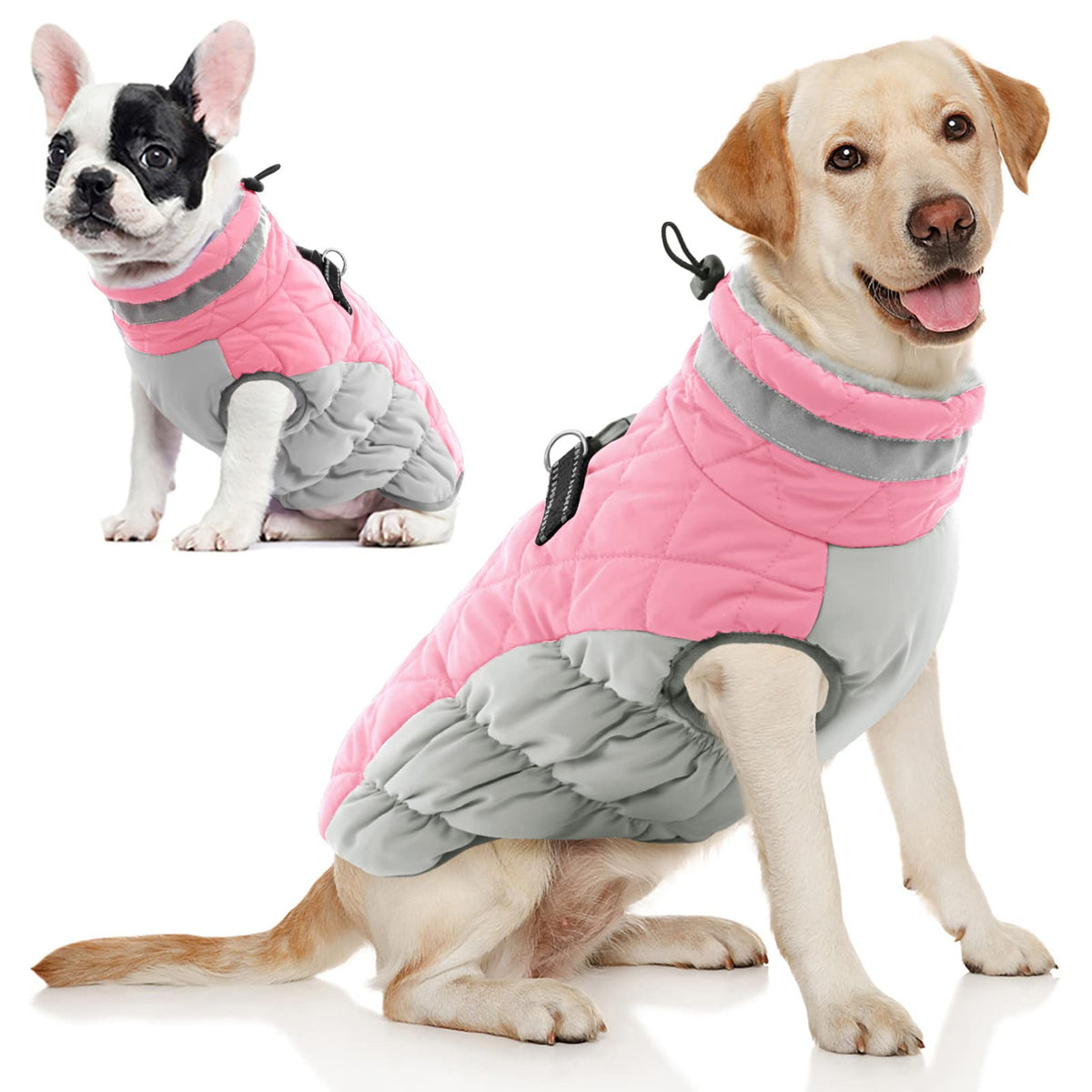 AOFITEE dog coat winter front view shows weather-ready protection