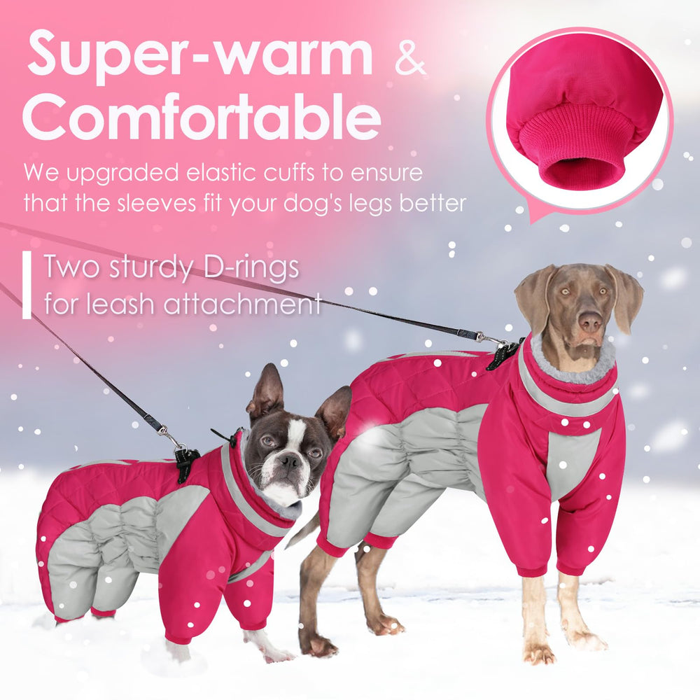 AOFITEE dog jacket built-in harness shown for secure walks