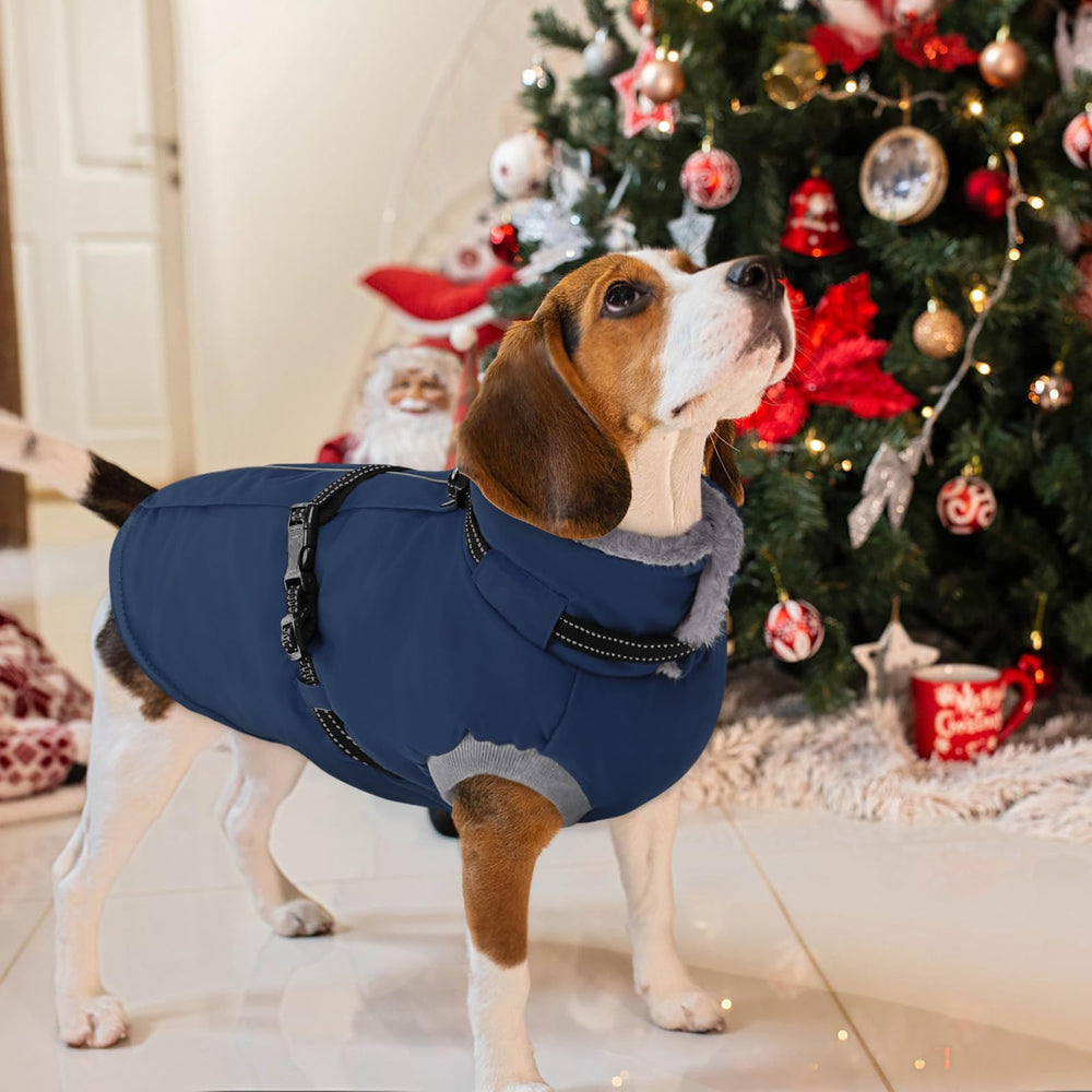 AOFITEE dog jacket all sizes fit from small to extra large dogs
